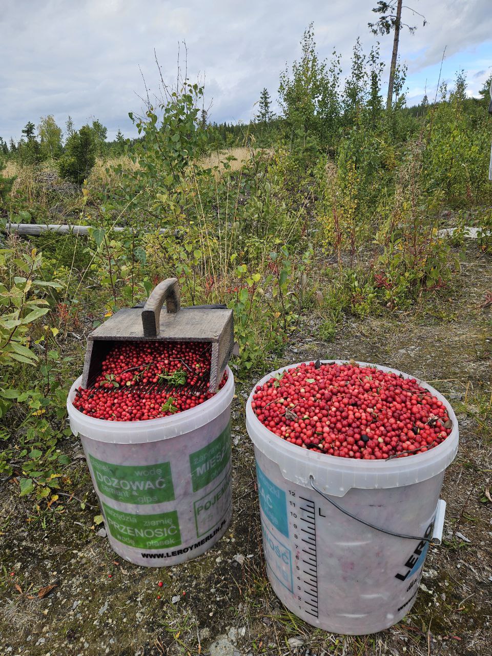 Ручна гребінка